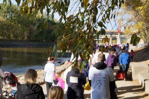 A Walk for Breast Cancer