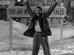 Bedford Falls
