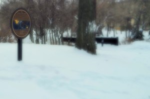 Walking amongst our ancestors. Taking a moment to remember and reflect those that have come before and those that will come after.