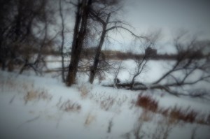 Winter's magic turns the Red into snow-covered white powder