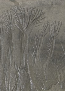 The ocean paints a mural in the sand