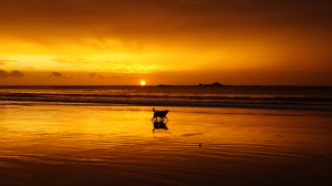 The Beach at Sunset enjoyed by all