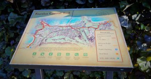 The Kapalua Coastal Trail